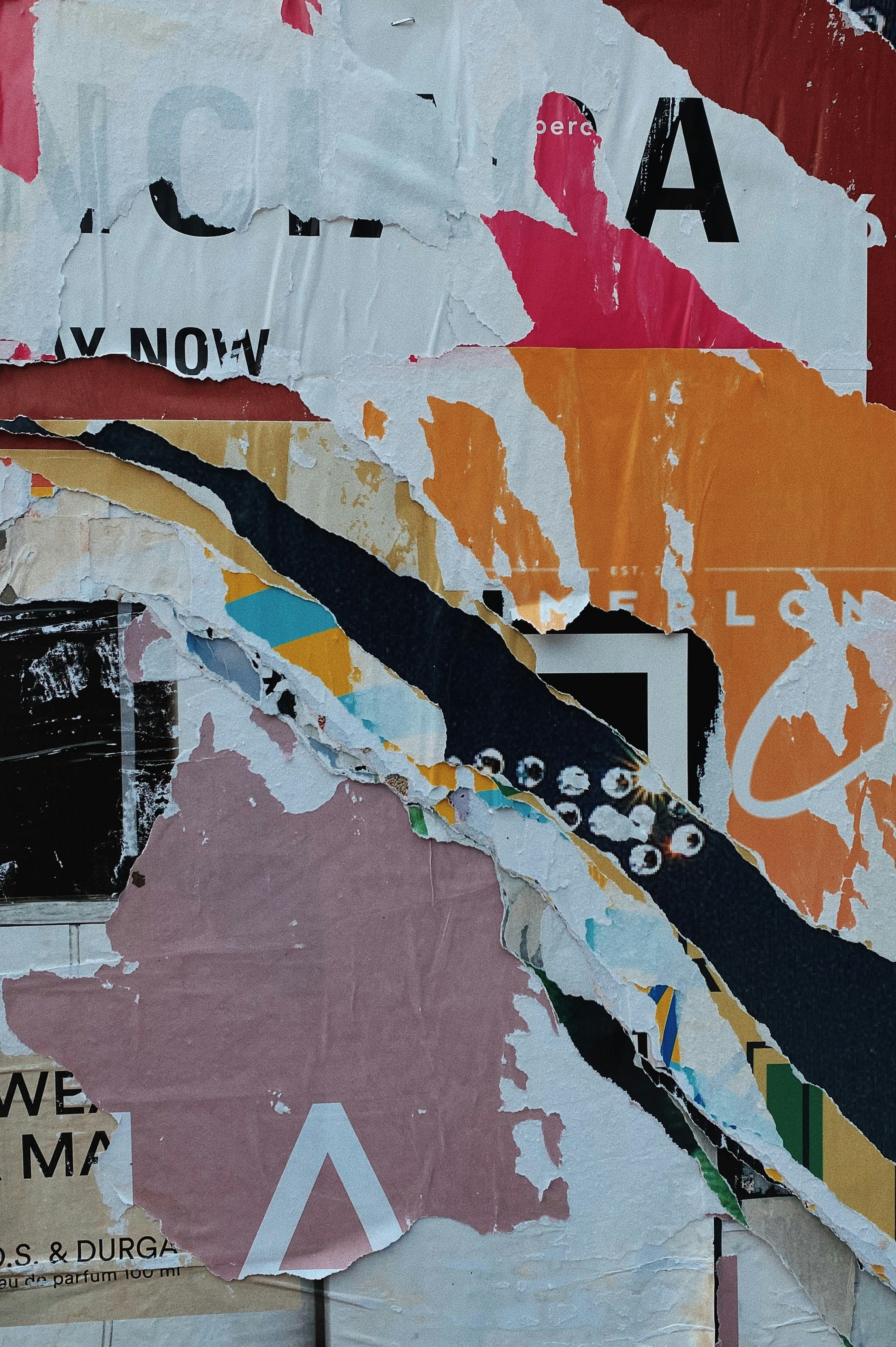 AI innovation in job search